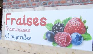 Estinnes a de la fraise