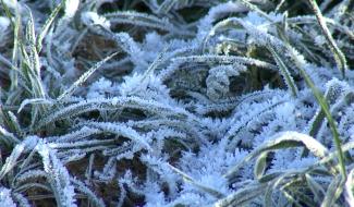 Estinnes-au-Mont : bonjour l'hiver