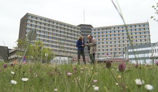 Harcèlement à Tivoli, la CNE réagit à nouveau