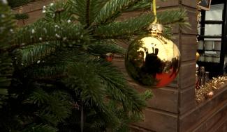 Haulchin : bulles et boules aux Agaises