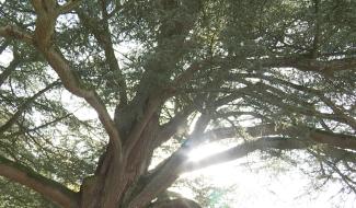 Morlanwelz : Mariemont en week-end 