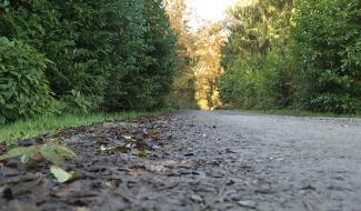  Estinnes : bilan Habitat-Permanent