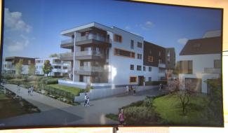 Soignies : "Arborescence" vers le village du futur