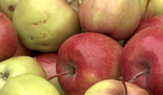 Estinnes-au-Val : des pommes et des pommes...