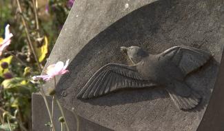 Neufvilles : Goéland, les soins palliatifs pour améliorer la qualité de vie qui subsiste encore