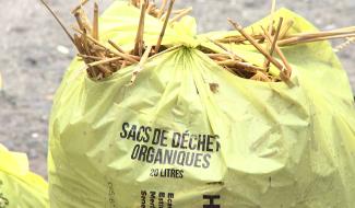 Binche : trier pour mieux collecter