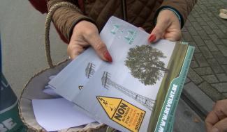 Soignies : court-circuit sur le marché 