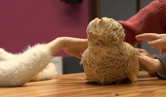 Le Roeulx : "Zanimos", un atelier de douceurs 