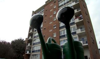 Binche : la cité a son jardin communautaire