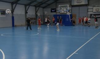 Basket P2 : Papillons invaincus