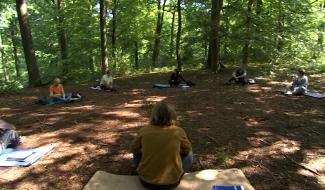 Atelier de l'arbre : communion entre écriture et nature 