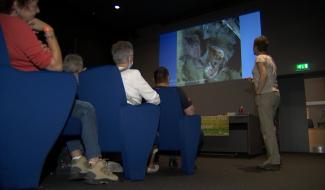 Binche : A la rencontre des chauves-souris