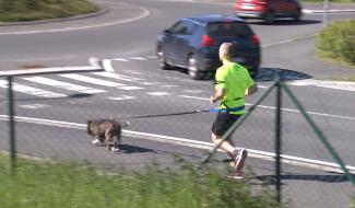 [LA LOUVIERE] Le Canicross