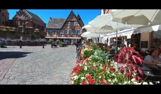 Eguisheim : carte postale