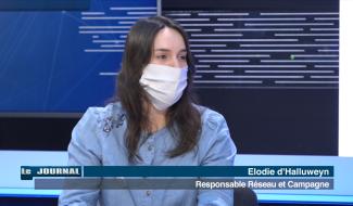 Invitée du Journal : la campagne Iles de Paix se réinvente