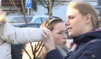 Soignies : opération petits fruitiers