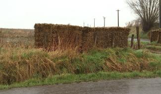 Braine le Comte : les fascines contre les coulées de boue