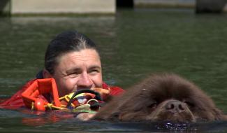 Seneffe : maître et chien pour sauver des vies