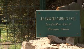 [FELUY] Les Amis des animaux