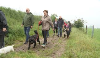 [BINCHE] Balade canine