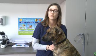 [Conseil Véto] Les aoûtas