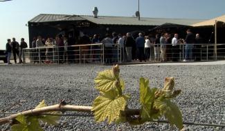 Haulchin : regards de professionnels sur le Ruffus