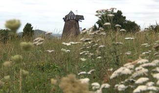 Leval-Trahegnies : l'histoire locale au fil des sentiers