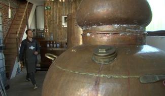 Trivières: naissance d'une distillerie artisanale