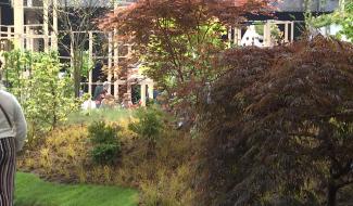 Gand: un Binchois expose aux Floralies Gantoises