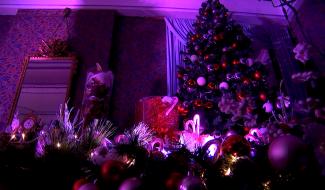 Louvignies : la magie de Noël au château