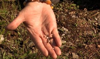 Ecaussinnes : Canopea rejoint la plainte contre TotalEnergies Feluy