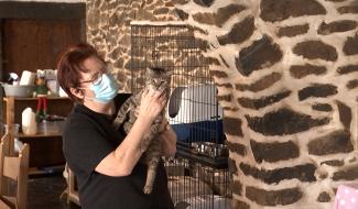 Feluy: " Les Amis des Animaux " disent non à la boucle du Hainaut