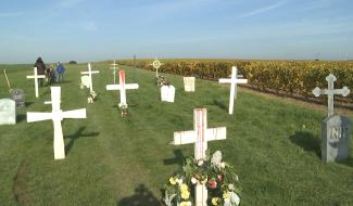 Haulchin: terreur dans les vignes.