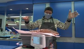 Insolite: une sole aux mensurations exceptionnelles