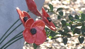 Ville-sur-Haine: un 11 novembre confiné