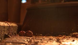 Après la fête, la grande lessive dans la cité du Gille.