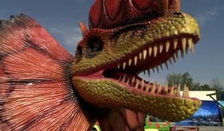 La Louvière : retour à l'ère jurassique