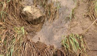 Ecaussinnes : la lutte contre les inondations se poursuit