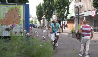 Des balades en vélo à la carte