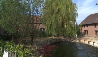 L'équilibre est précaire pour la Ligule à Mignault