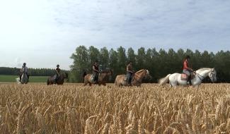 Au Roeulx, une promenade réservée aux cavaliers