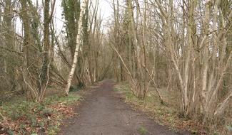 Ecaussinnes : La ligne 106 bientôt remise en état