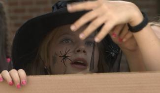 Quand Harry Potter enchante le Domaine de La Louve à Saint-Vaast...