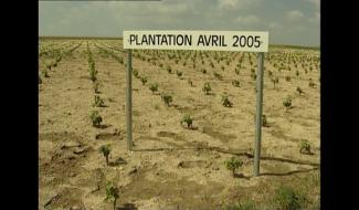 Haulchin : 20 ans de production viticole