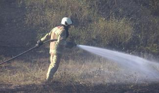 Houdeng : feu de végétation au pont-canal