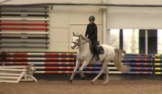La Louvière : désaccord politique autour du futur du parc Boël