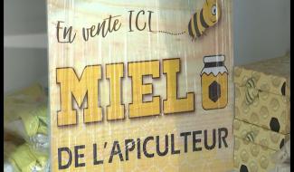 Au Coeur du Hainaut : un magasin dédié aux abeilles 