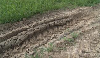  Les agriculteurs face à une météo capricieuse 