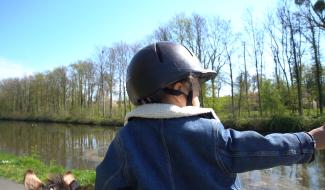 Feluy : balade à dos d'âne non loin du canal