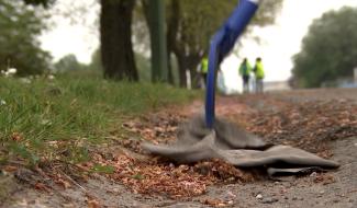 Seneffe : l'opération Be WaPP est de retour